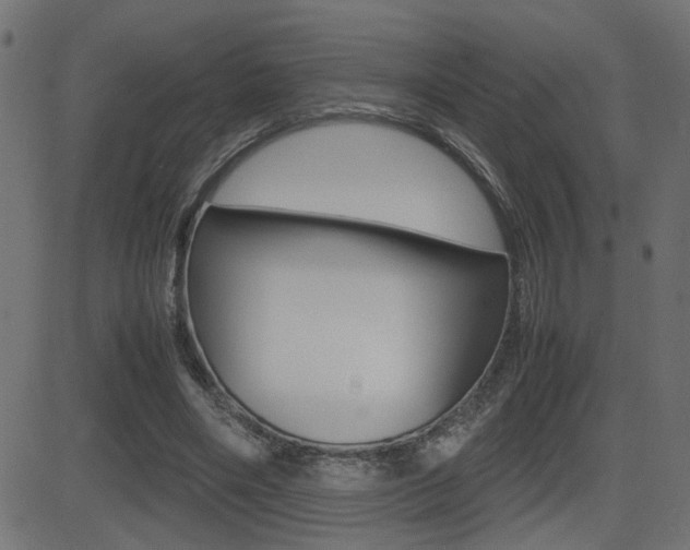 X0000081430490200701120923