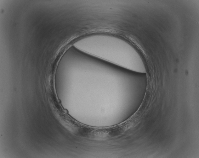 X0000081430491200701120923