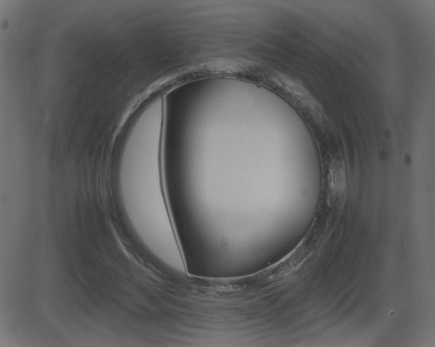 X0000081430492200701120923