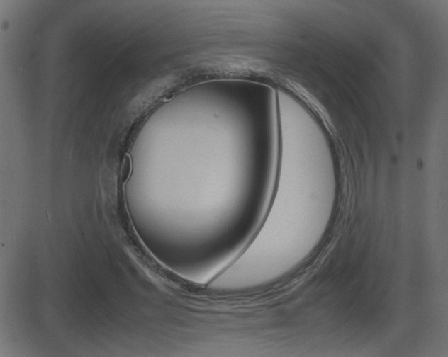 X0000081430493200701120923