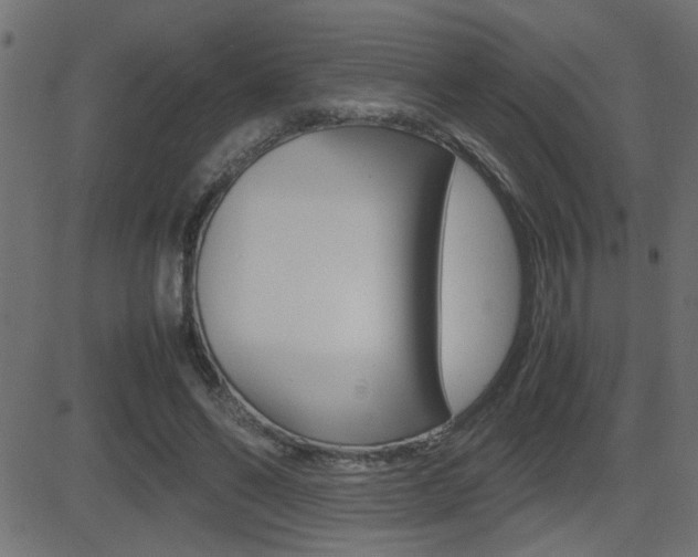 X0000081430494200701120923
