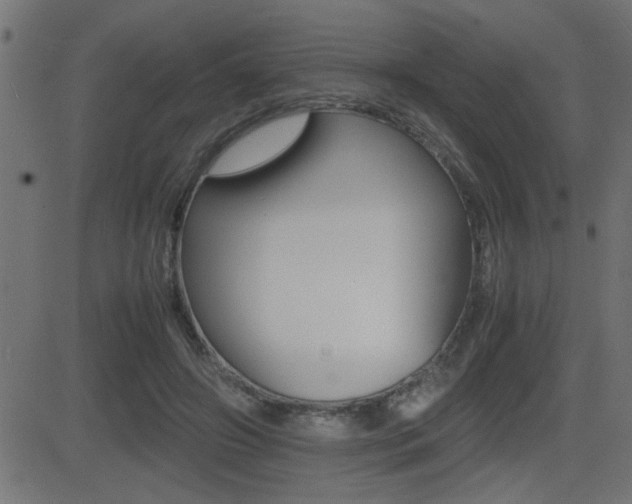 X0000081430498200701120923