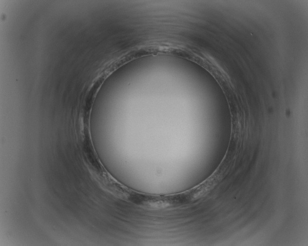 X0000081430500200701120923