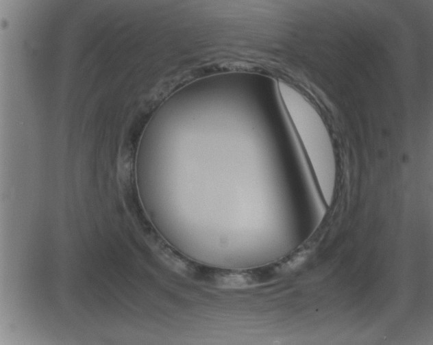 X0000081430513200701120922