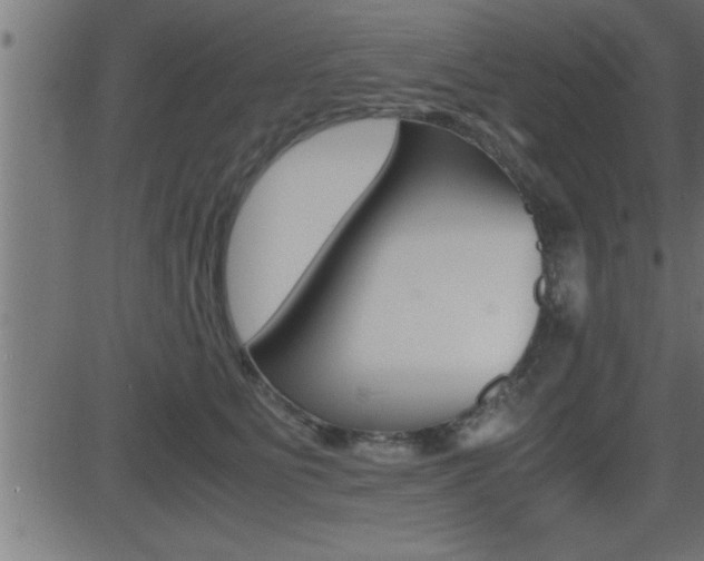 X0000081430515200701120922