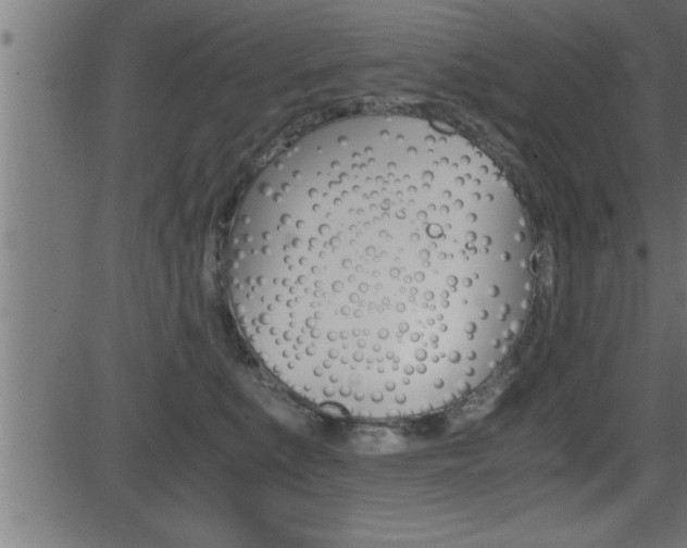 X0000081430519200701120922