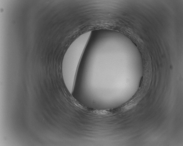 X0000081430528200701120922