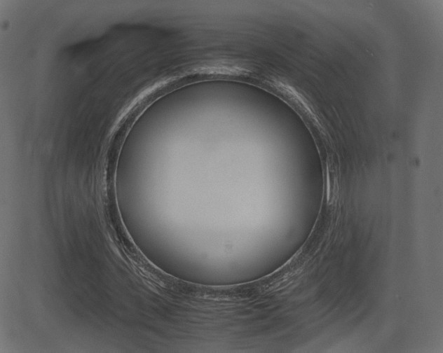 X0000081430531200701120921