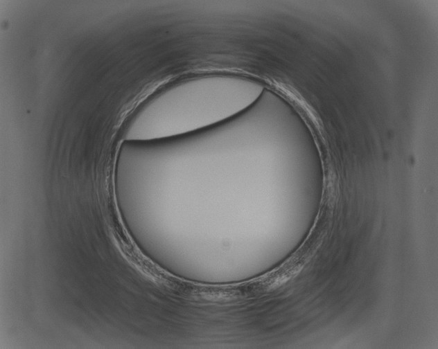 X0000081430533200701120921