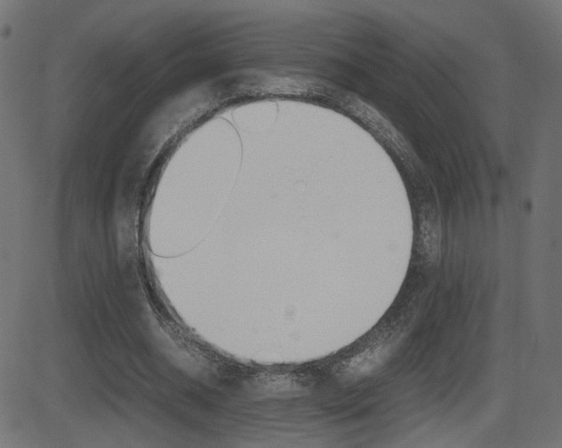 X0000081430534200701120921