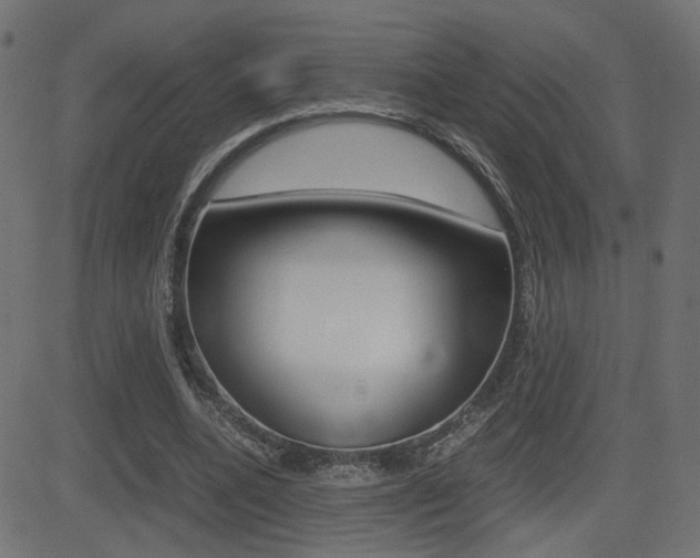 X0000081430536200701120921