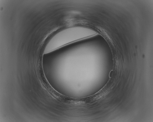 X0000081430539200701120921