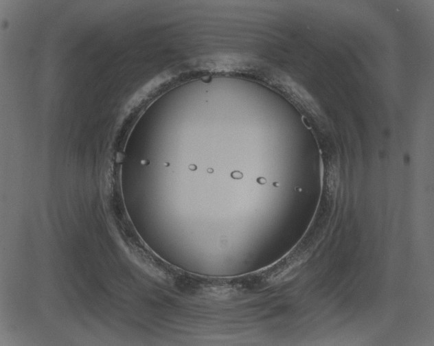 X0000081430540200701120921
