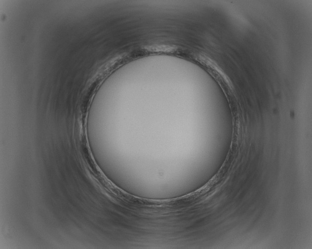 X0000081430541200701120921