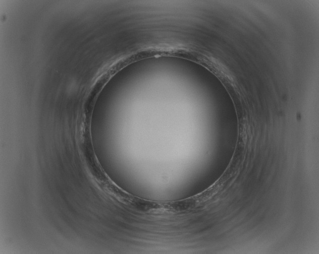 X0000081430544200701120922