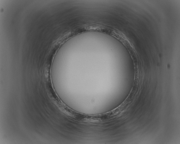 X0000081430545200701120922