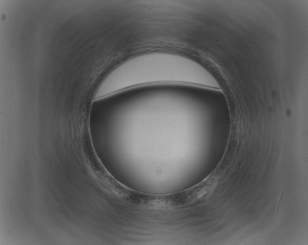 X0000081430546200701120922