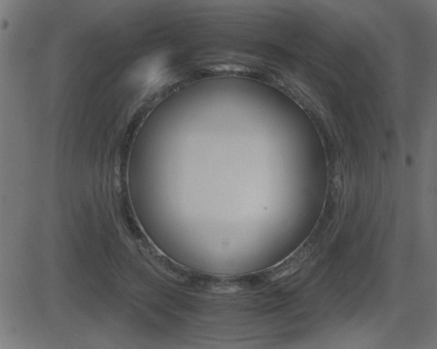 X0000081430547200701120922