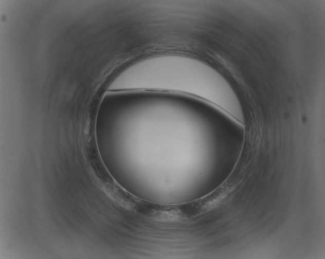X0000081430548200701120922