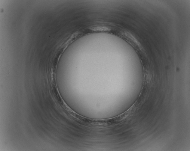X0000081430549200701120922