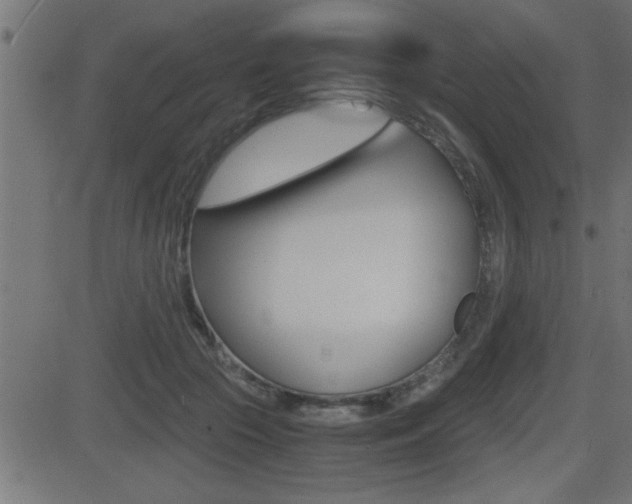 X0000081430553200701120922