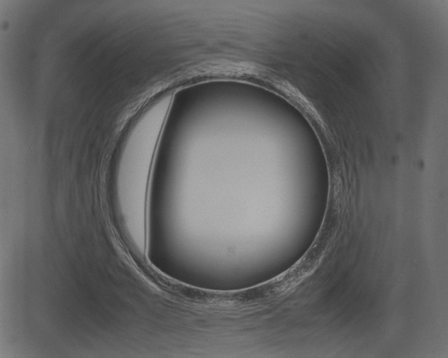 X0000081430581200701120921