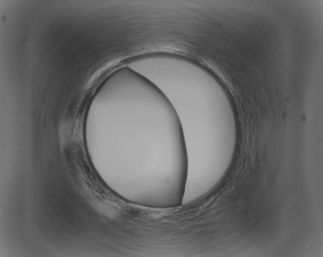X0000081430583200701120921