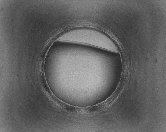 X0000081430585200701120921