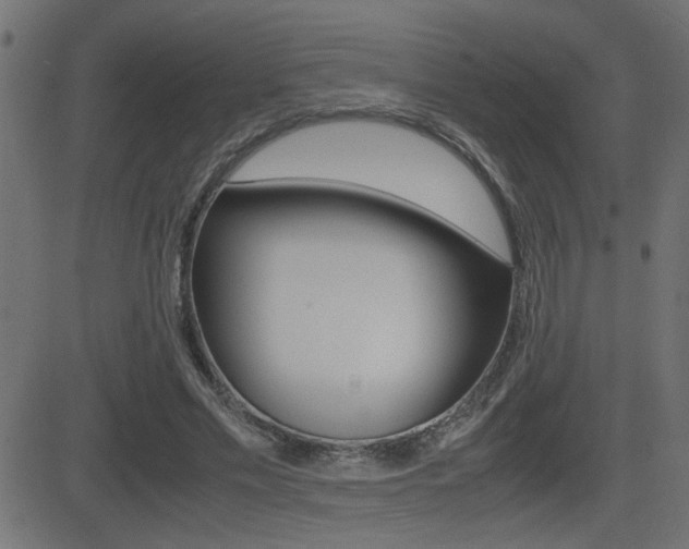 X0000081430589200701120921