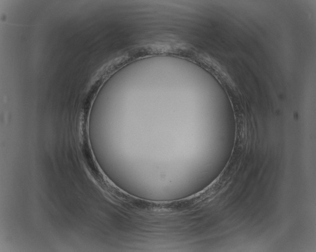 X0000081430590200701120921