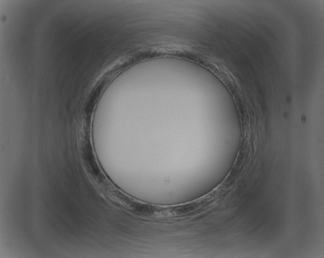 X0000081430591200701120921