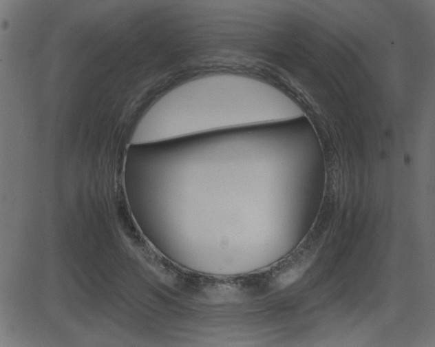 X0000081430594200701120921