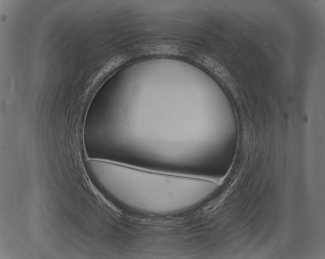 X0000081430625200701120920