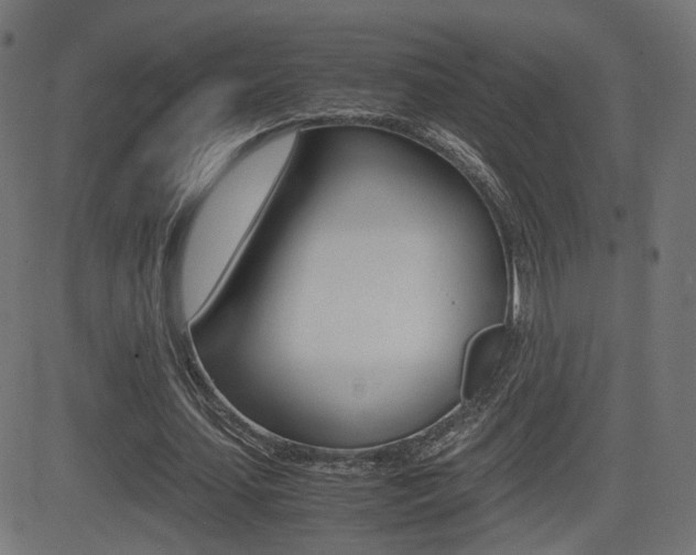 X0000081430627200701120920
