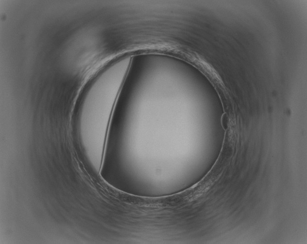 X0000081430628200701120920