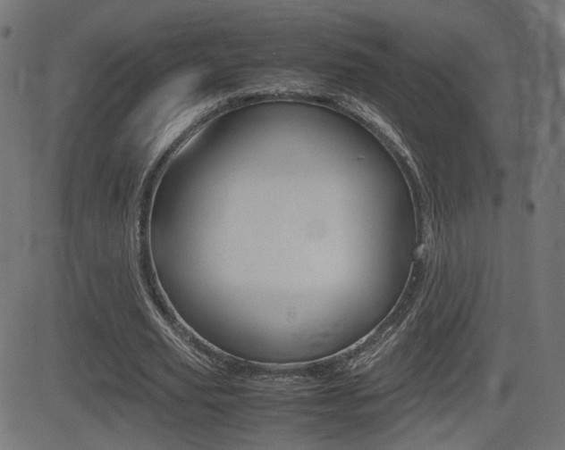X0000081430629200701120920