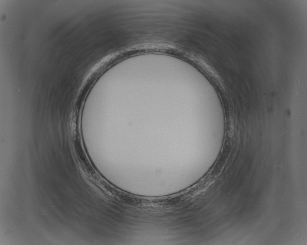 X0000081430632200701120920