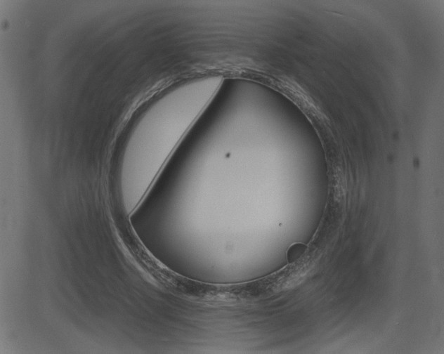 X0000081430634200701120920