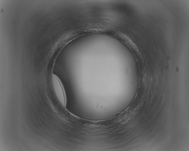 X0000081430635200701120920