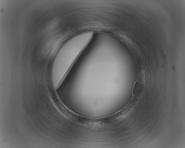 X0000081430638200701120920