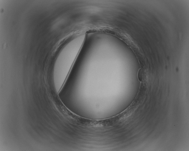 X0000081430640200701120920