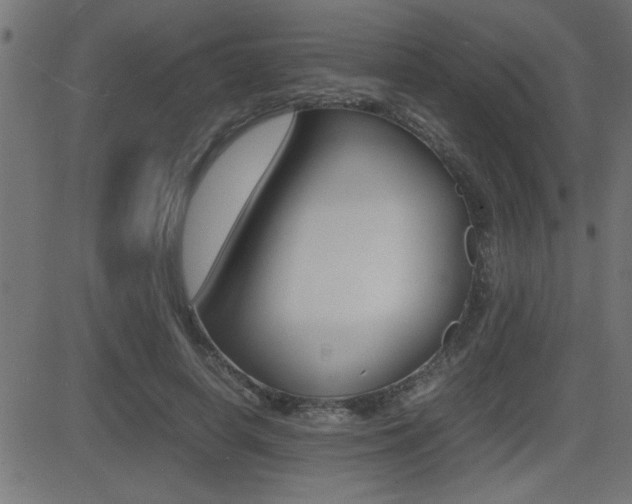 X0000081430642200701120920