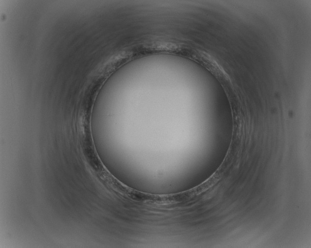 X0000081430643200701120920