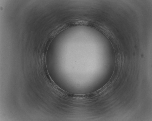 X0000081430649200701120920