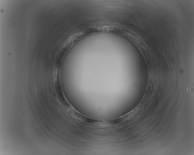X0000081430652200701120920