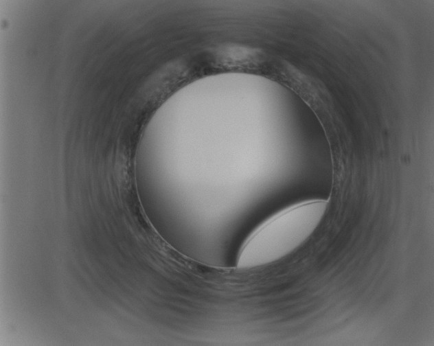 X0000081430653200701120920