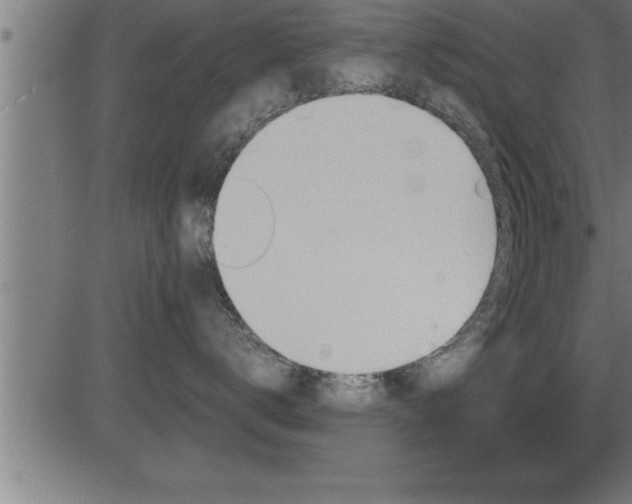 X0000081430672200701120920