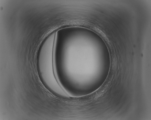 X0000081430673200701120920