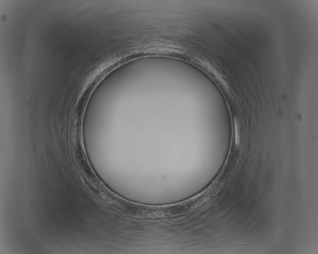 X0000081430675200701120920