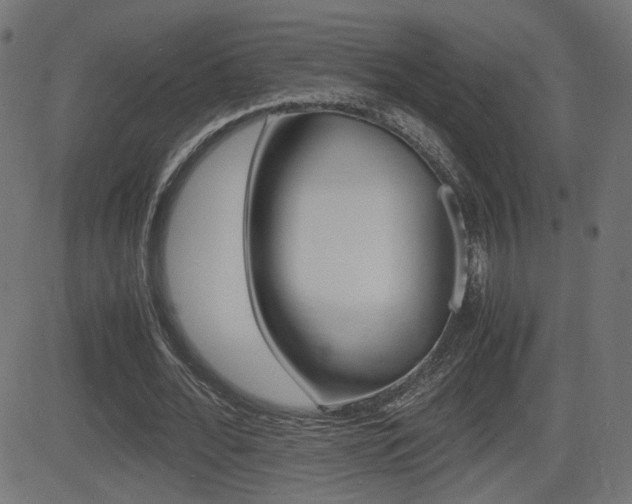 X0000081430676200701120920